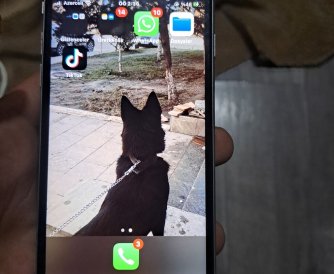 Product Thumbnail